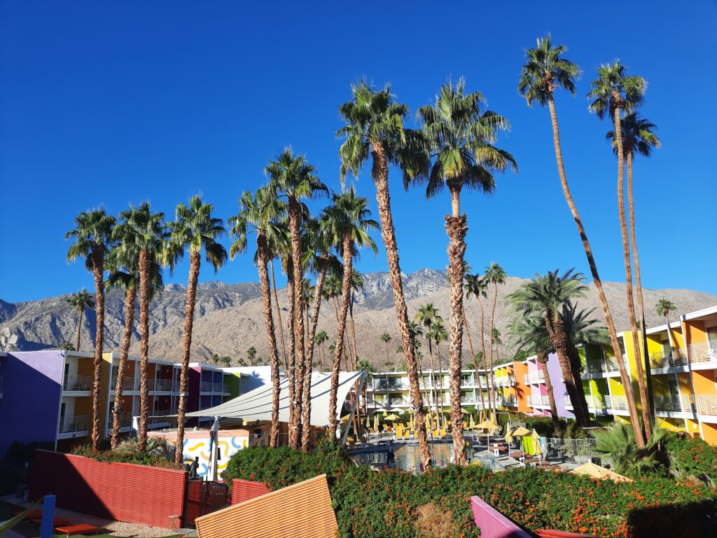 explorez-les-usa-collaboration-saguaro-hotel-palm-springs-cali