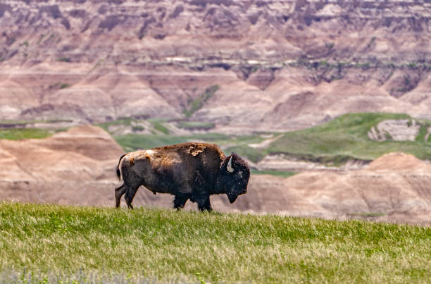 explorez-les-usa-dakota-du-nord