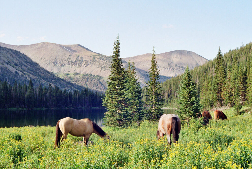 explorez-les-usa-montana