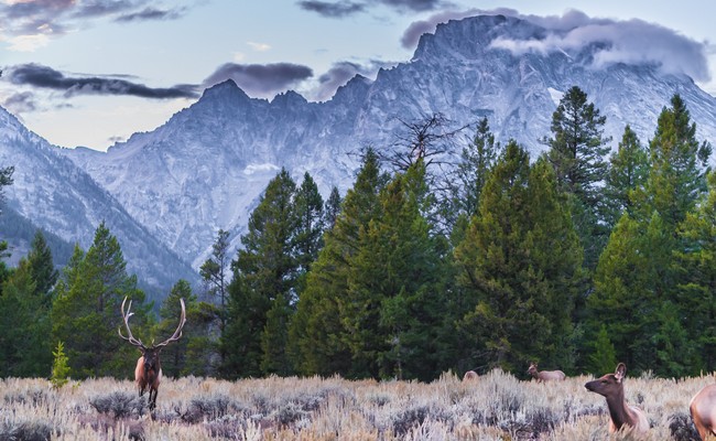 explorez-les-usa-wyoming - Grand Tetons
